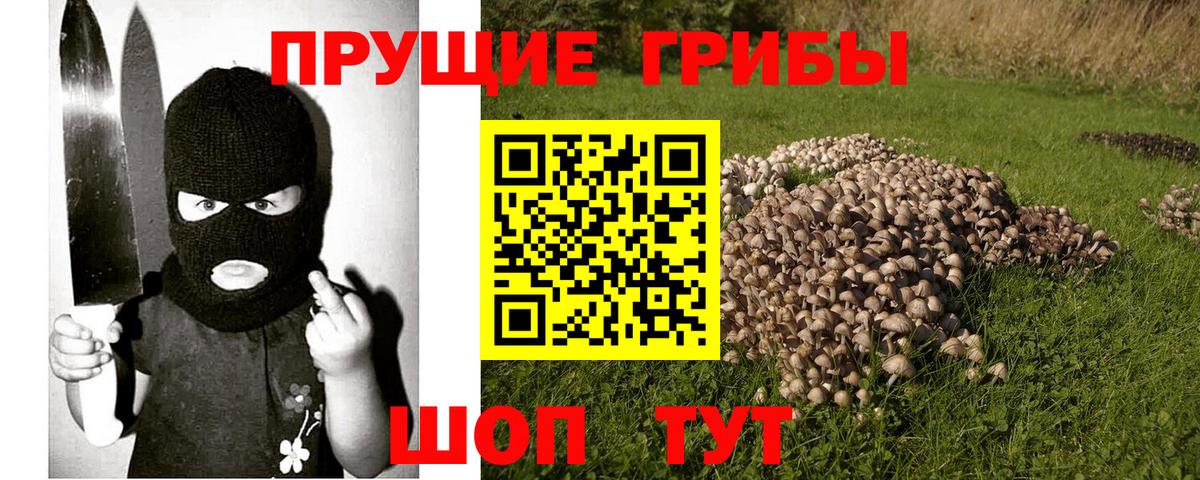 Псилоцибиновые грибы прущие грибы  Вход с VPN  Выкса 